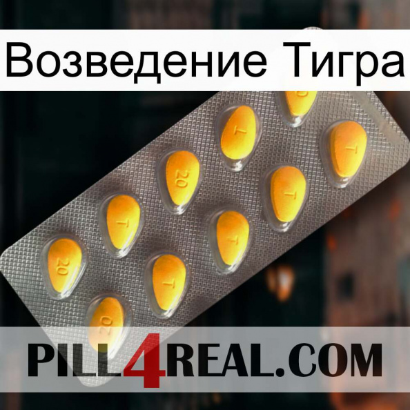 Возведение Тигра cialis1.jpg